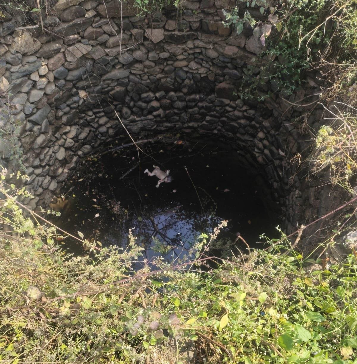 कुएं से मिला 10 दिन के नवजात बच्चे का शव, पुलिस जांच में जुटी