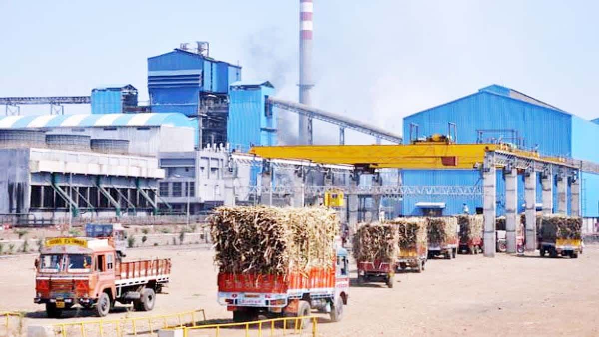 अंशधारियों को रियायती दर पर शक्कर वितरण की अंतिम तिथि 11 दिसंबर